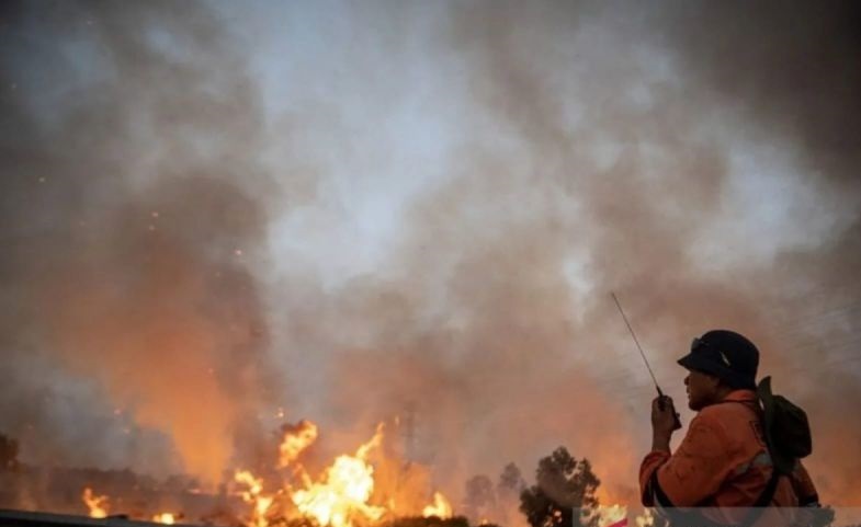 "Godzilla" Mengintai, Kalimantan Zona Rawan