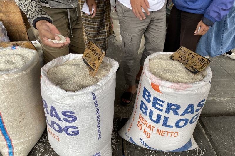 Menakar Daya Tahan Industri Perberasan RI