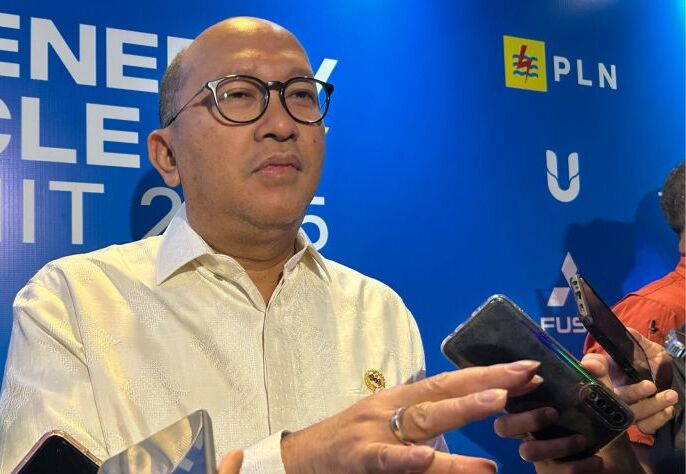Rosan Berencana Rasionalisasi 1.044 BUMN Jadi 230 Perusahaan