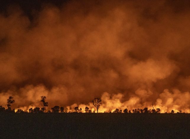 DPR Minta Kemenhut-Pemda Perkuat Koordinasi Cegah Karhutla