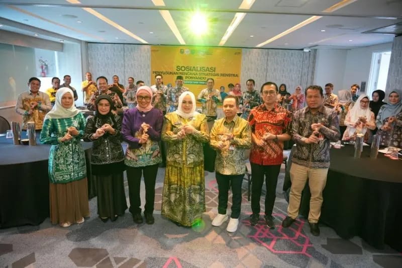 Renstra Posyandu 2025 Tapin Disusun