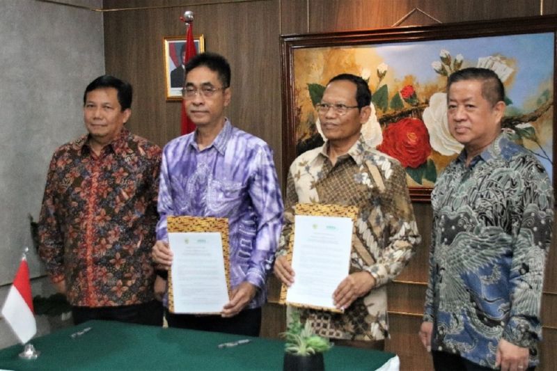 APHI dan ITPC Perkuat Pengelolaan Berkelanjutan Lahan Gambut Tropis