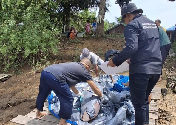 Duka Mahakam, Pesut ‘Upin’ Ditemukan Mati di Keramba Warga