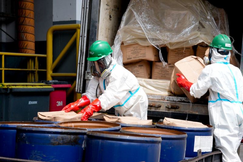 Udang Terkontaminasi Cs-137 Dimusnahkan, Barantin: Demi Keamanan Pangan