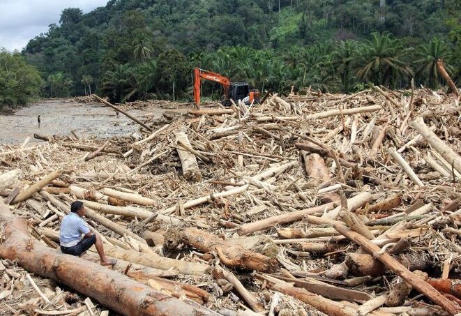 Kemenhut Soroti Potensi Banjir berasal dari Kayu Ilegal dan Pembalakan