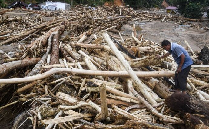 Kemenhut Izinkan Kayu Hanyut Dipakai untuk Pemulihan Banjir Sumatera
