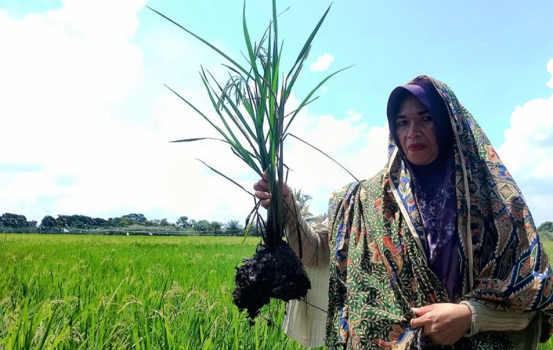 Derita Panjang Warga Lingkar Tambang Tapin, Tali Asih Bukan Jawaban
