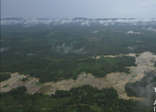 Menteri LH Temukan Degradasi Hutan Parah di Aceh Timur