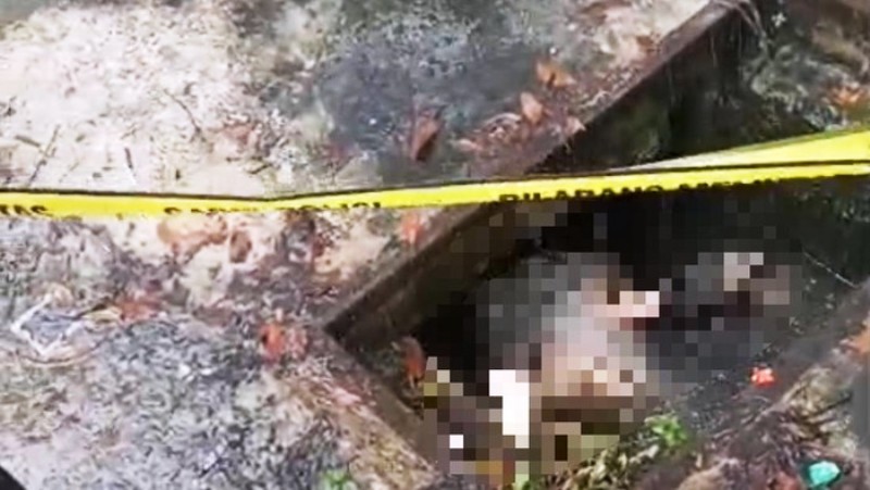 Terduga Pembunuh Mahasiswi ULM Banjarmasin Ternyata Polisi