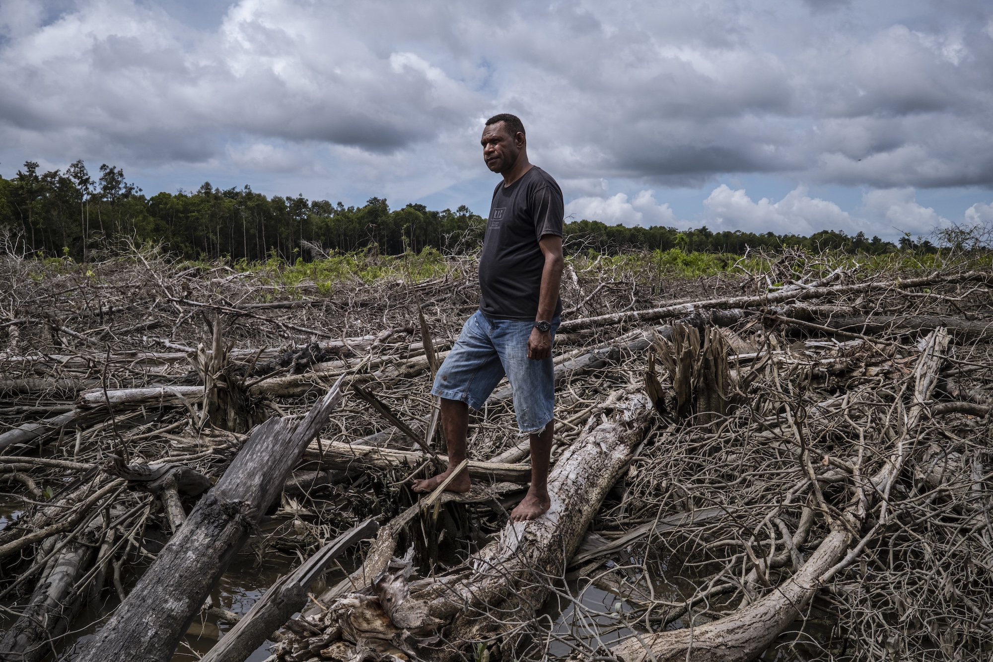 Ambisi Sawit di Papua: Jalan Pintas Energi Mengancam Hutan dan Hak Masyarakat Adat
