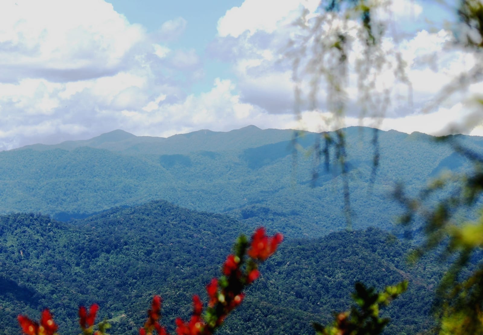Stageof Balikpapan: Gempa Bumi Beruntun di Kalsel Dipicu Sesar Meratus
