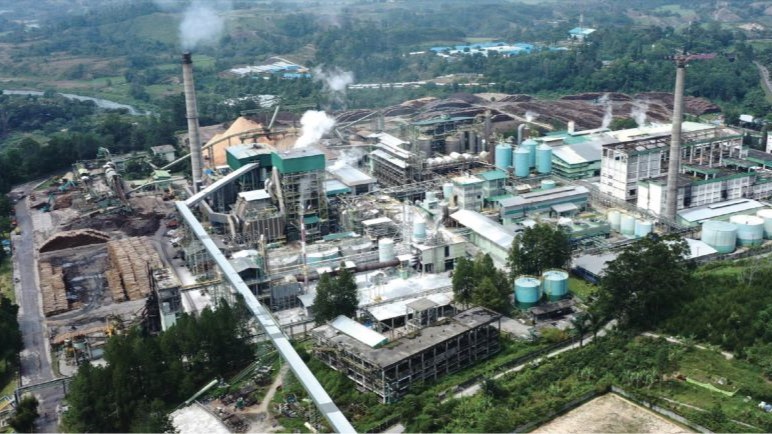 Auriga Laporkan TPL atas Dugaan Deforestasi di Hulu Tapanuli