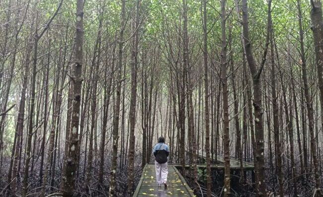 Mayoritas Gen Z Merasa Penting Menjaga Kelestarian Alam