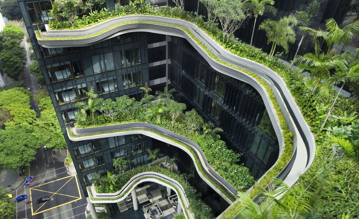 Atap Hijau yang Ikut Menyelematkan Kita