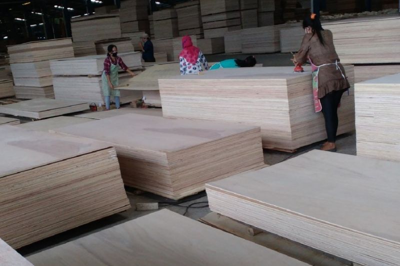 Izin PBPH Dicabut, APHI: Ekspor Hasil Hutan Terdampak