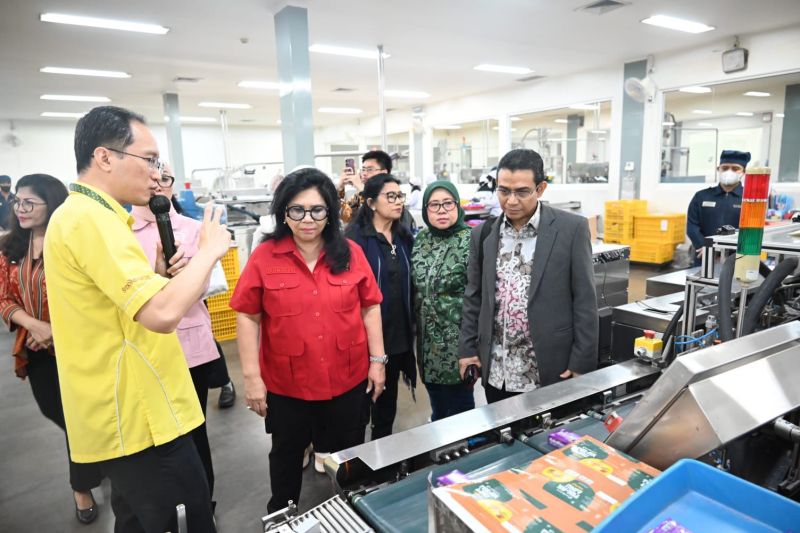 DPR Dorong Penguatan Jamu Lokal UMKM