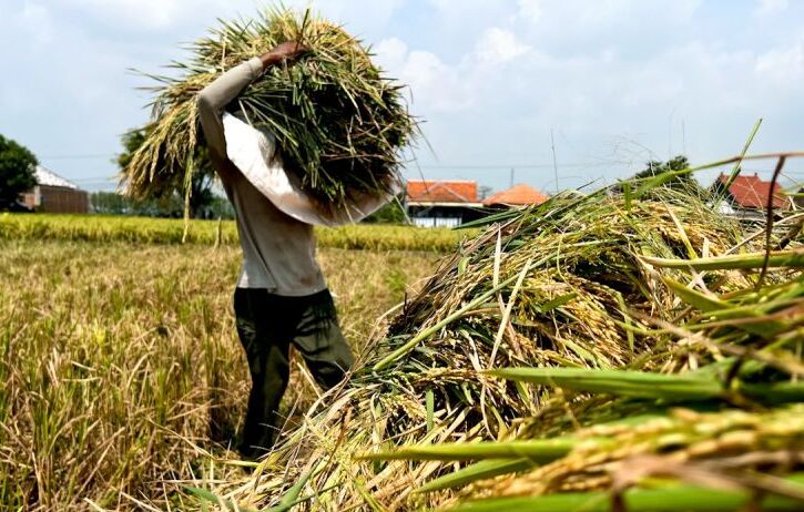 Menempatkan Kembali Pembangunan Pertanian untuk Kesejahteraan Petani