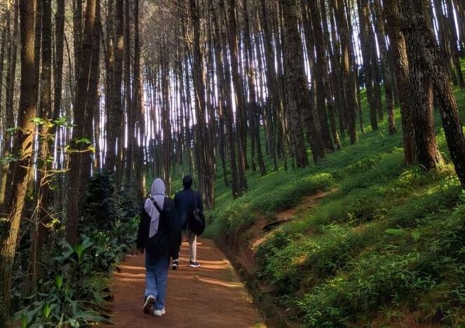 Gerakan Nasional Indonesia Asri dan Tren Wisata Indonesia