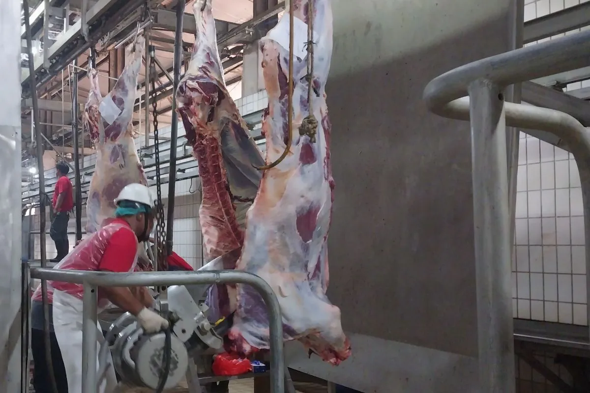 Stok Daging Jakarta Rentan, Dharma Jaya Siapkan Kawasan Peternakan Baru