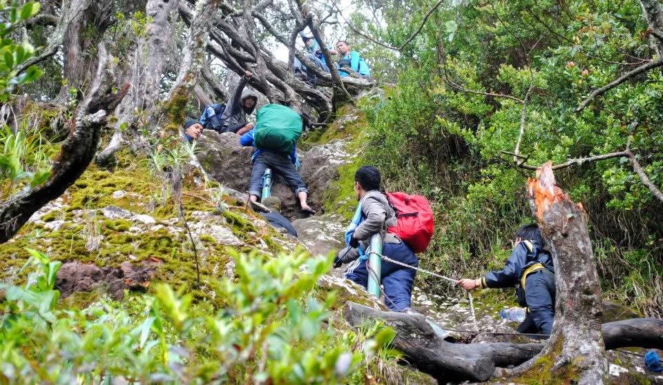 Wisata Gunung Gede Pangrango Ditutup 20 Maret, Pendaki Ilegal Terancam Denda dan Blacklist