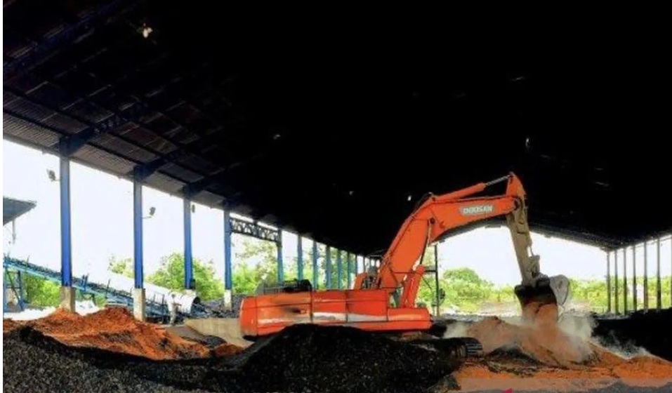 Temuan CELIOS: Biomassa Belum Mampu Gantikan Batu Bara dalam Transisi Energi