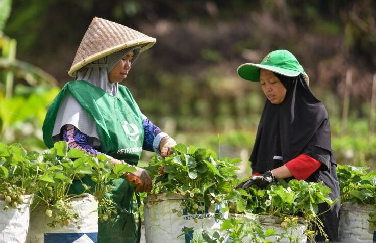 BRIN Dorong Peran Komunitas dalam Transformasi Pemulihan Pascabencana