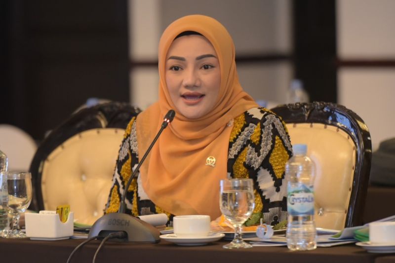 Anggota DPR Minta Implementasi UU TKPS Dievaluasi