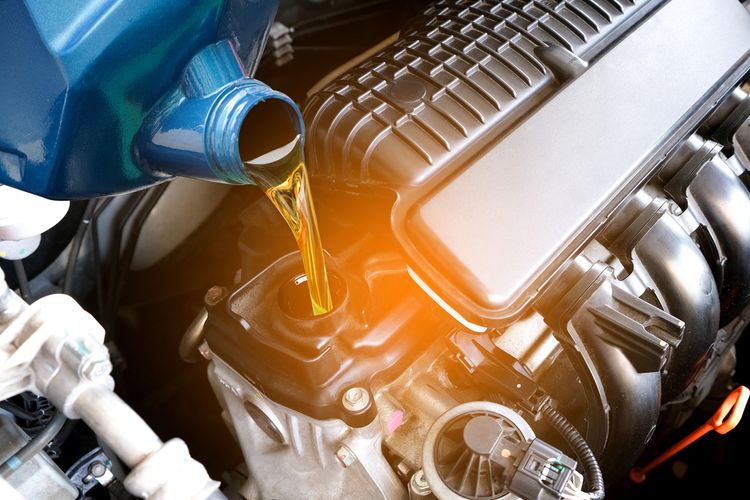 Perlu Beralih, Cek Kelebihan dan Kekurangan Pelumas Minyak Nabati