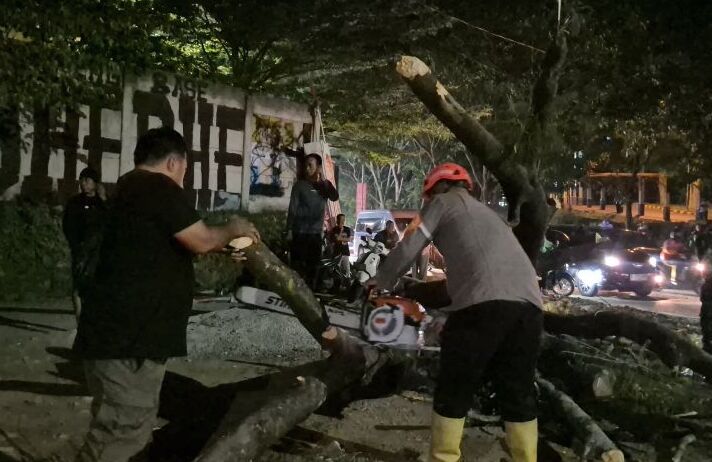 Lima Pengendara di Jatinangor Tertimpa Pohon Tumbang