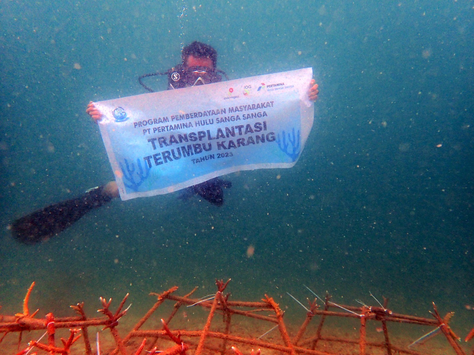 Pertamina Hulu Indonesia Perluas Upaya Pelestarian Laut di Momentum Hari Terumbu Karang Sedunia