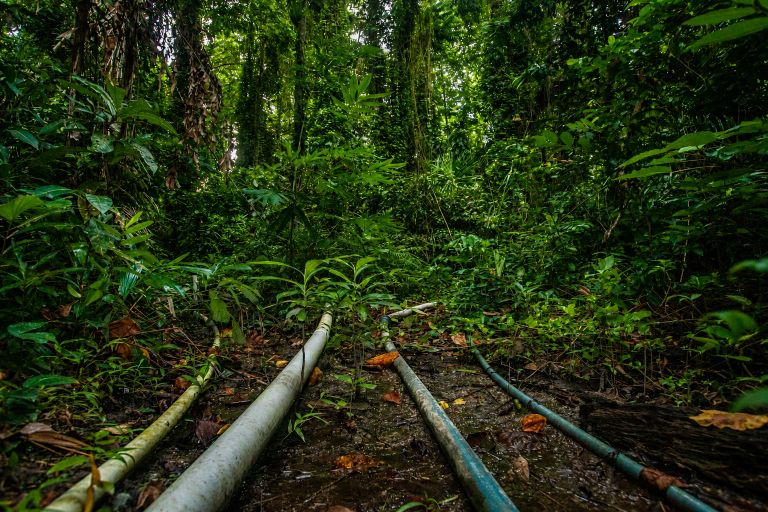 Dari Hutan Ranjuri ke Kain Batik: Kisah Desa Beka Menjaga Alam Sambil Menggerakkan Ekonomi