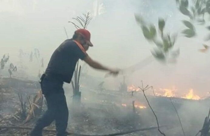 Aktivitas Pembersihan Lahan Picu Kebakaran di Klaten Meluas hingga ke Hutan