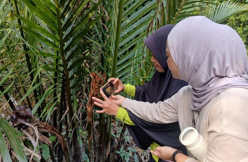 Mangrove Menyusut 200 Ribu Hektare, Kolaborasi di Kubu Raya Didorong untuk Selamatkan Ekonomi Biru