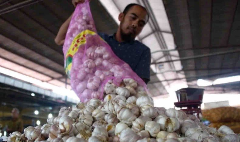 BRIN Gandeng UGM Kembangkan Teknologi Benih Bawang Putih Sehat