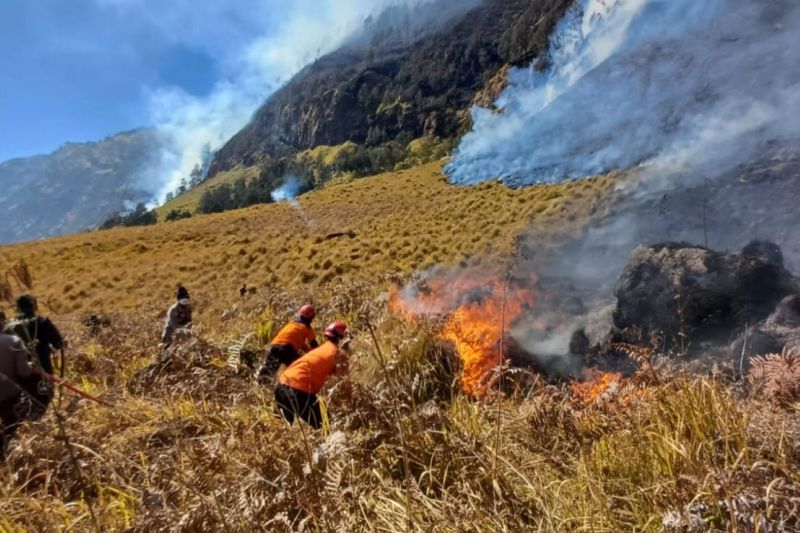 Karhutla di Gunung Bromo Tak Kunjung Padam, Kemenhut Turun Tangan