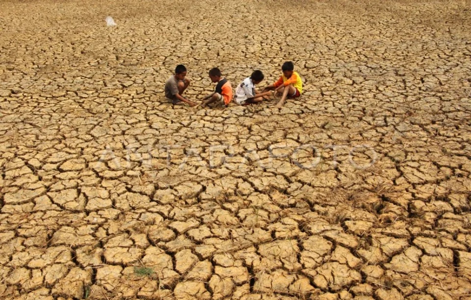 Kabut Asap dan Krisis Iklim: Kebakaran Hutan Tak Bisa Lagi Disalahkan pada El Nino