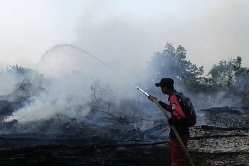Perkuat Deteksi Dini Karhutla, Kemenhut Pantau 73 Hotspot di Kalsel