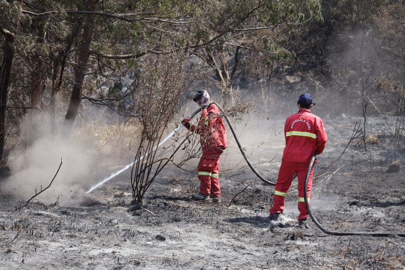 Tumpas Bara Api, Kemenhut Lakukan Pendinginan Karhutla Bromo