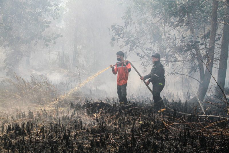 Kalimantan Dikepung 1.487 Titik Panas Potensi Karhutla