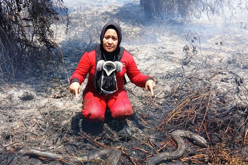 Karhutla Makin Mengancam, KLH Keluarkan Instruksi Mendesak untuk 6 Gubernur