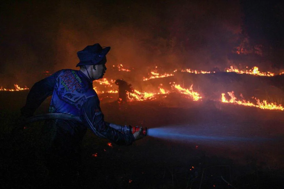 Karhutla Disebut Kejahatan Kerah Putih, YLBHI Desak Aktor di Balik Konsesi Diusut