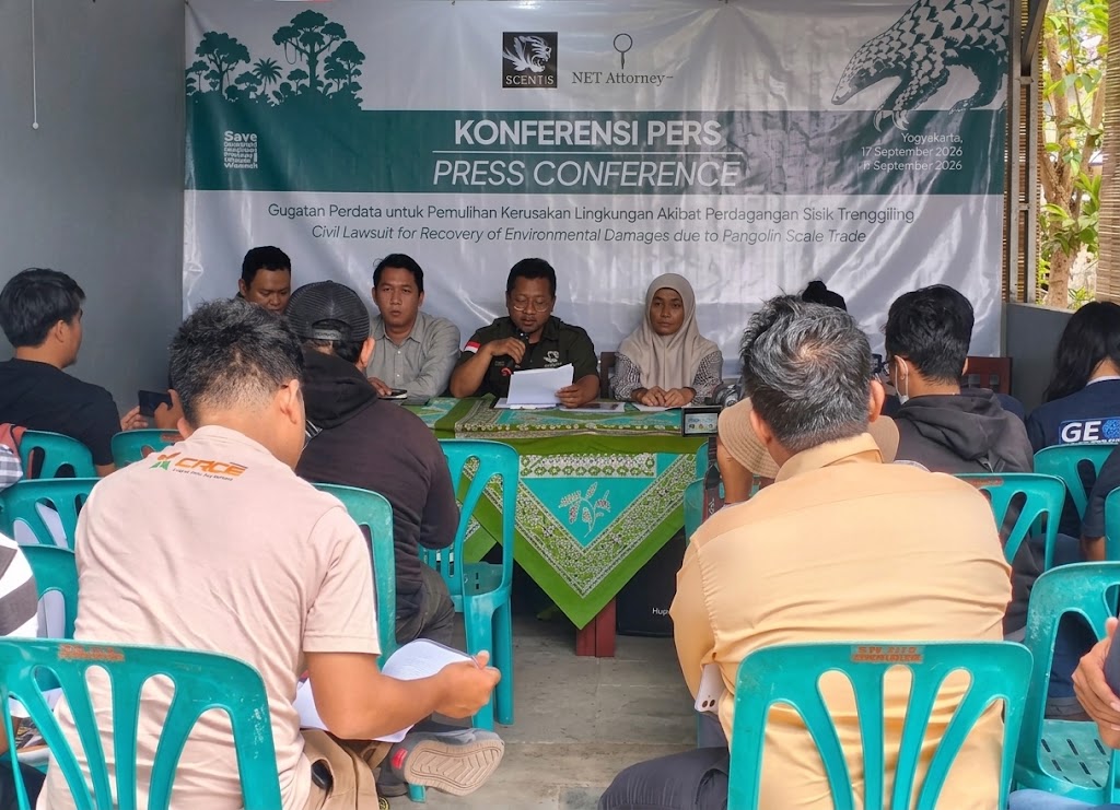 Gugatan Bersejarah untuk Trenggiling, SCENTS Dorong Putusan yang Berpihak pada Alam