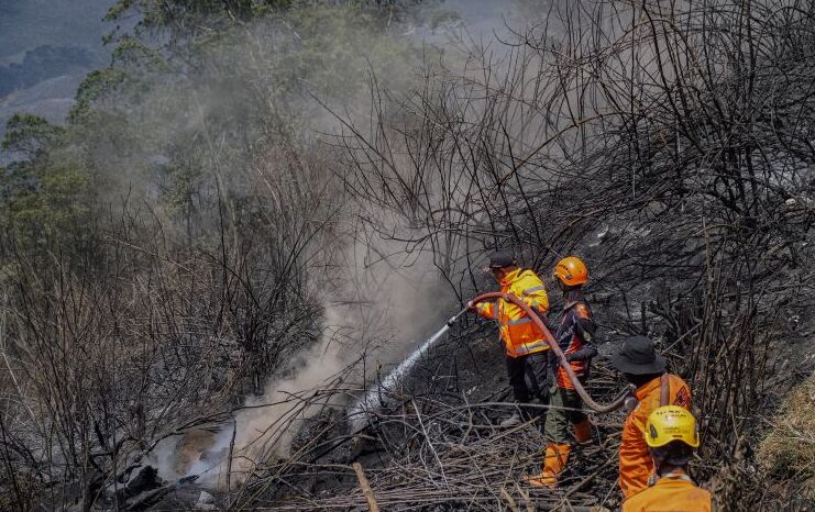 Petugas Gabungan Berhasil Lokalisir Titik Asap di Bromo