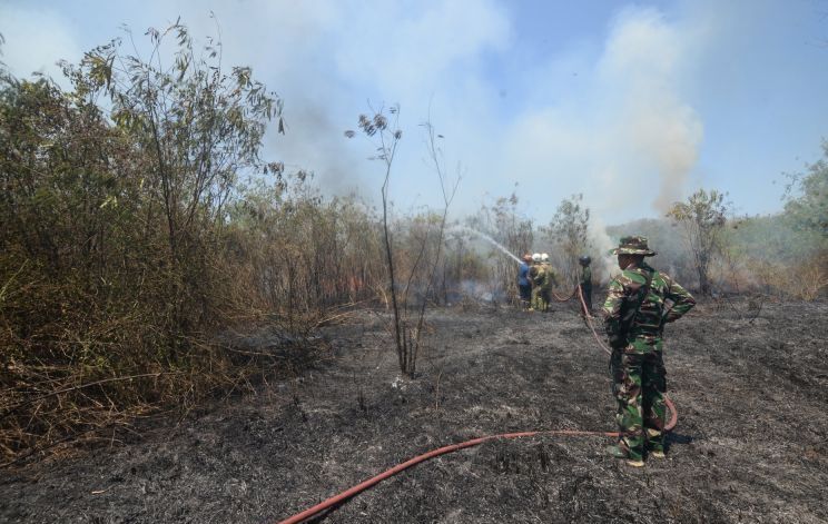 Bakar Sampah Picu 41 Hektare Lahan Hangus di Jateng
