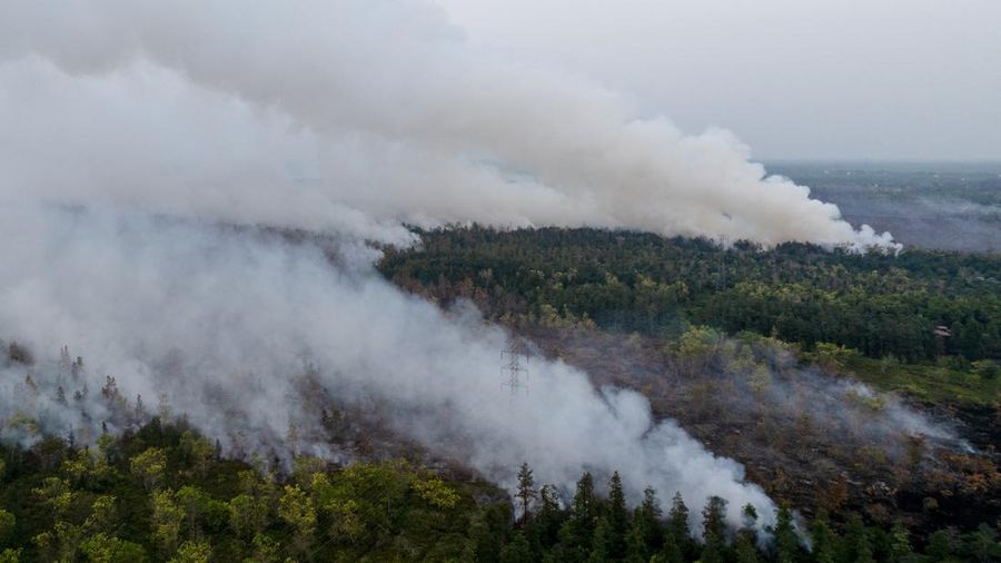 Karhutla 3 Bulan, Anggota DPR Dorong Naikan Status Bencana Nasional