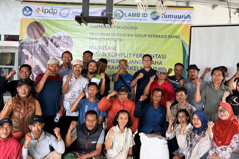 IPB University Perkenalkan Inovasi Pakan Fermentasi untuk Sapi Perah