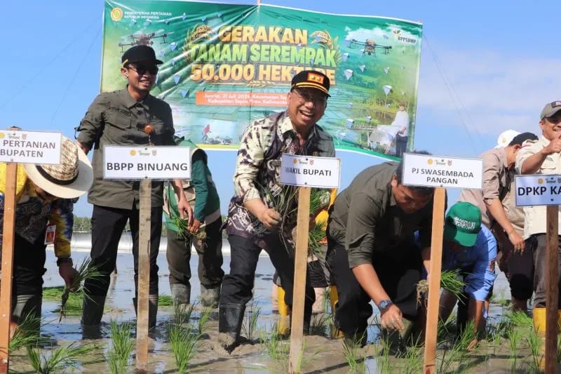 Pemkab Tapin Tanam Padi 846 Hektar Dukung Swasembada Pangan