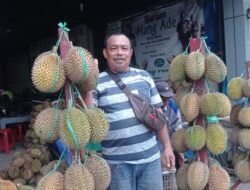 Musim Durian Badui, Perputaran Uang Sentuh Miliaran Rupiah