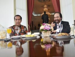 Pertemuan Jokowi dan Paloh, NasDem: Sudah Biasa