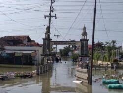 Banjir Surut, Warga Demak Mulai Pulang ke Rumahnya